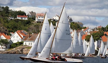 Årsmøte